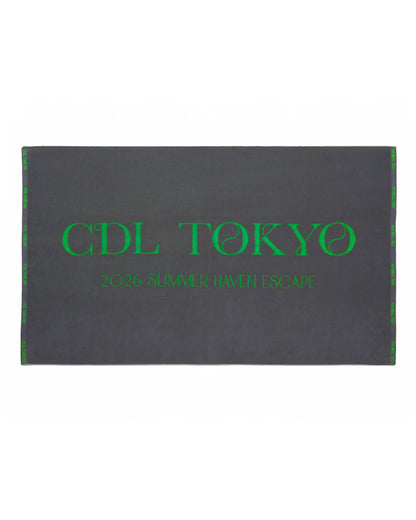 [PRE-ORDER] CDL Beach Pile Towel